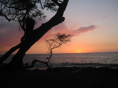 Anaehoomalu Bay sunset